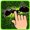 Ant Smasher - Kids Games