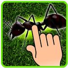 Ant Smasher - Kids Games Zeichen