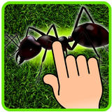 Ant Smasher - Kids Games icône