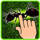 Ant Smasher - Kids Games APK