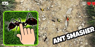 Ant Smasher - Kids Games Affiche