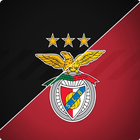 Benfica Wallpaper HD ícone