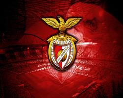 Benfica Wallpaper HD imagem de tela 1