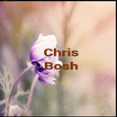 APK Chris Bosh