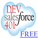 Dev 401 Test Salesforce icône