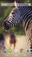 African Animals Live Wallpaper capture d'écran 1