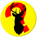 Guess The Animal Game For Kids APK