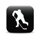 Hockey Stat Keeper icon