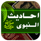 Hadees of Day – حديث اليوم icône