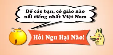 Hỏi Ngu Hại Não - Đố Vui Hại N