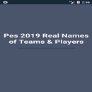 Pes 2019 noms réels des équipes et des joueurs APK
