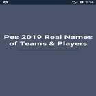 Real Names of Teams & Players Pes19 أيقونة