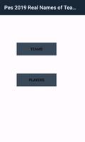 Real Names of Teams & Players Pes19 تصوير الشاشة 1
