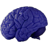 Artificial Intelligence AI