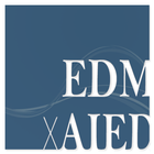 AIED x EDM 2013 ikon