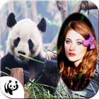 Giant Panda Photo Frame icône