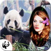 Giant Panda Photo Frame