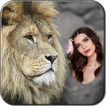 Lion Photo Frame