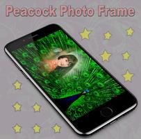 Peacock Photo Frame Affiche