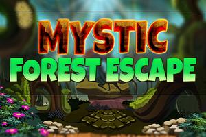 Mystic Forest Escape poster