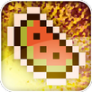 Melon Catch Extreme APK