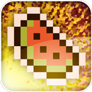 Melon Catch Extreme APK