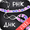 айМолекула: Биология ДНК Free