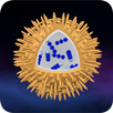 Science - Microcosm 3D APK