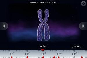 1 Schermata Scienza - Microcosmo 3D