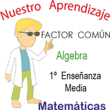 Factor Común, Factorización