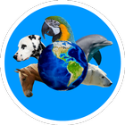 ABC with animals free alphabet ikona