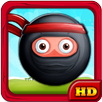 Ninja Diamond Adventure APK