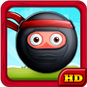 Ninja Diamond Adventure