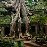 Escape Game- Greenhouse Escape