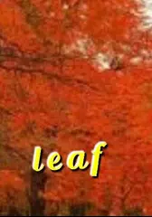 download Add text on photo  -3D text on APK