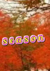 download Add text on photo  -3D text on APK