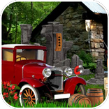 Yakushima Forest Escape