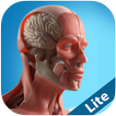 Anatomy Game Anatomicus Lite
