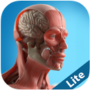 Anatomy Game Anatomicus Lite aplikacja