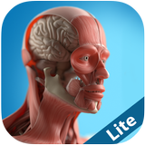 Anatomy Game Anatomicus Lite-APK