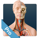 Anatomy Game Anatomicus Pro aplikacja