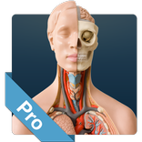 Anatomy Game Anatomicus Pro
