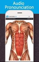 Anatomy Game Anatomicus Pro screenshot 1