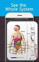 Anatomy Game Anatomicus Pro screenshot 2