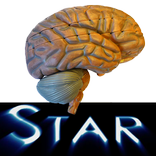 Anatomy Star - CNS (the Brain)