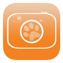 Safari Snap APK