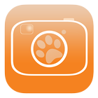 Safari Snap icône
