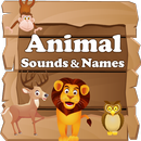 Animal Sound APK