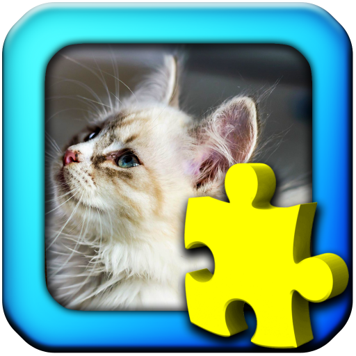 Katzen - Puzzles