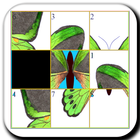 Fly Slide Puzzle icon